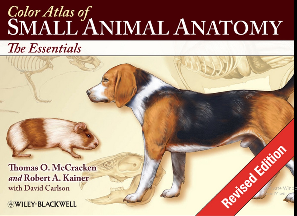 Color Atlas of Small Animal Anatomy, The Essentials
