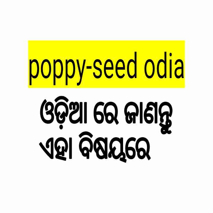poppy seed in Odia details overview