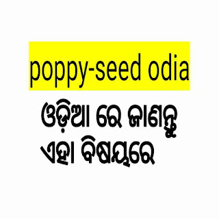 Poppy-seed in odia