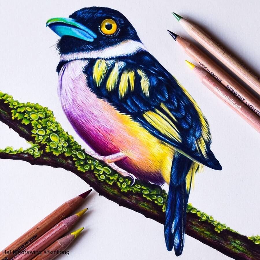 Design Stack: A Blog about Art, Design and Architecture: Animal Pencil  Drawings in all Colors