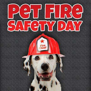 National Pet Fire Safety Day HD Pictures, Wallpapers