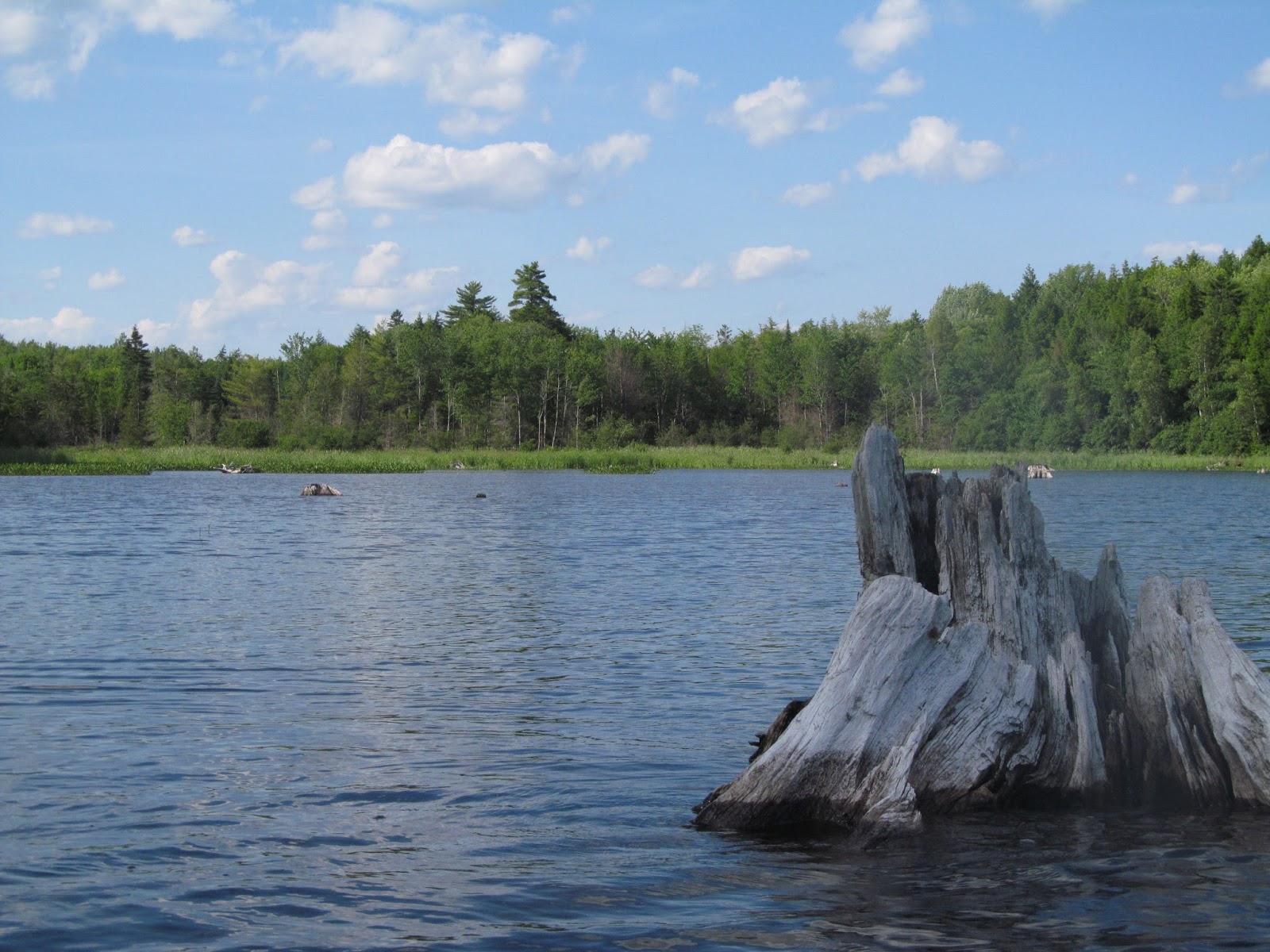 Recreational Kayaking in Maine Stump Pond, Lincoln Maine