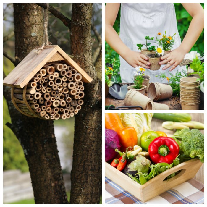 How to Help Bees in Your Backyard and Beyond Sunny Day Family