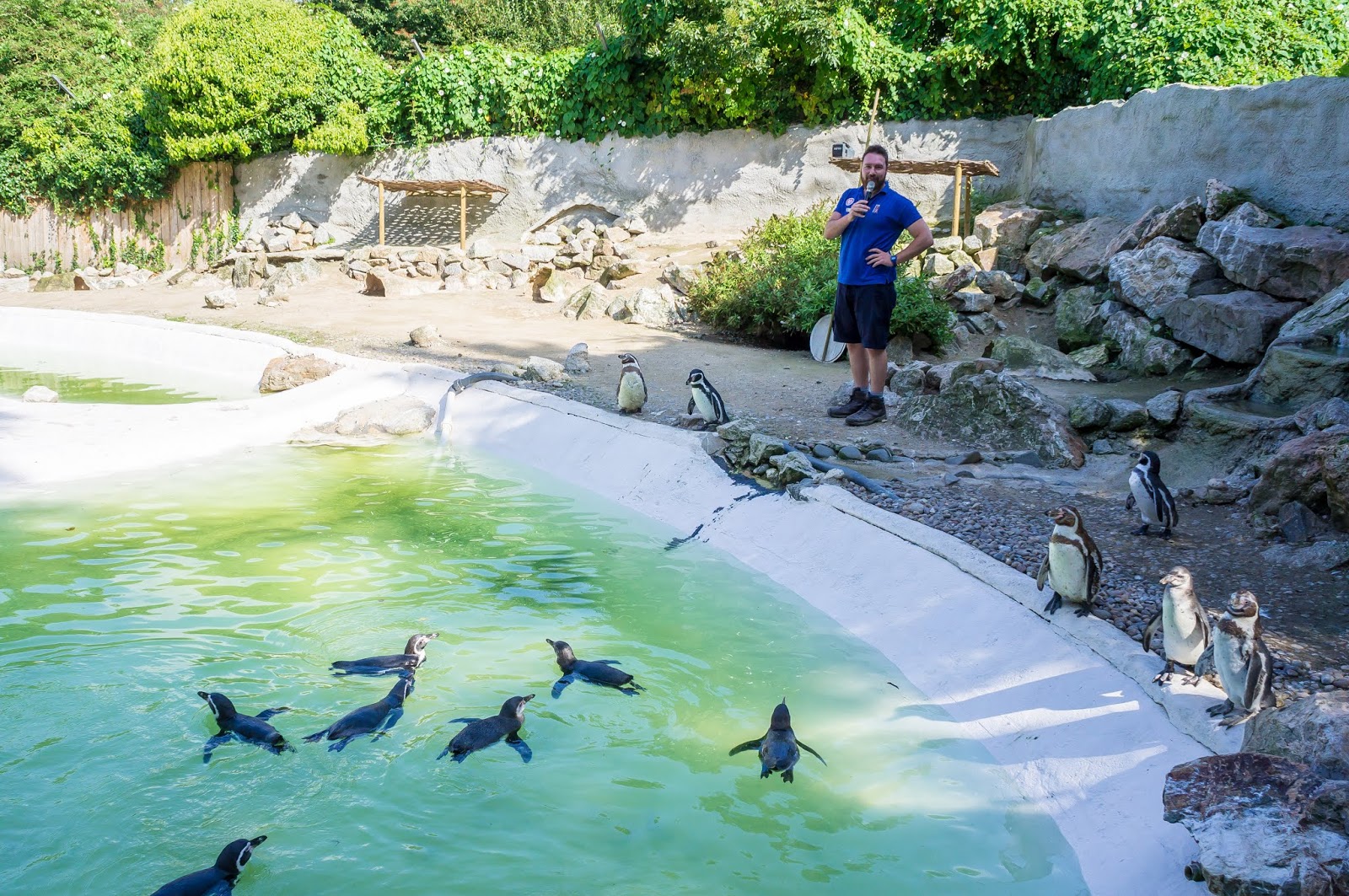 That Liz & Those Boys A Family and Lifestyle Blog [GIFTED] Day Out at