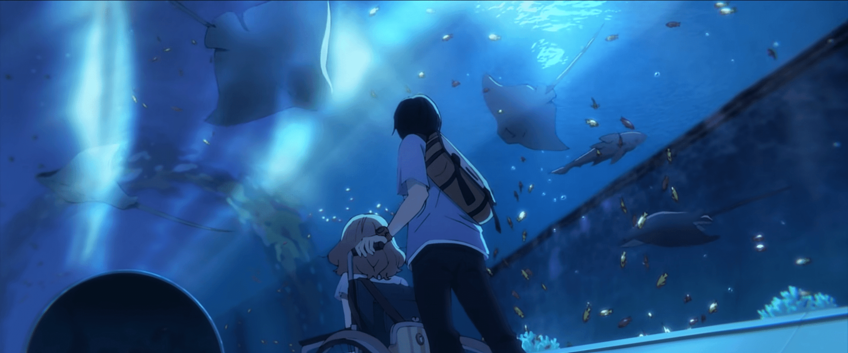 Josée Le Tigre Et Les Poissons Streaming +15 'Josée, le tigre et les poissons Film Fond d'écran 1080pHD-4K' à