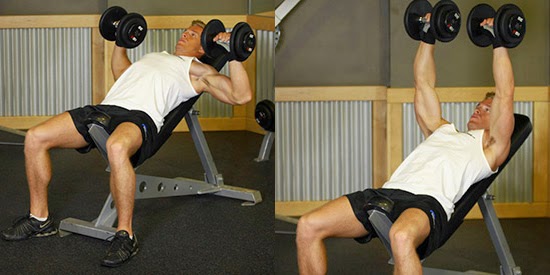 برنامج للضخامة العضلية للمبتدئين ( جدول تدريبي ) Incline-Dumbbell-Press%2528www.gym-ar.com%2529