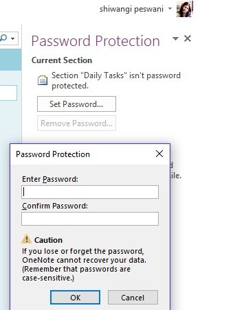onenote-password-protect1a