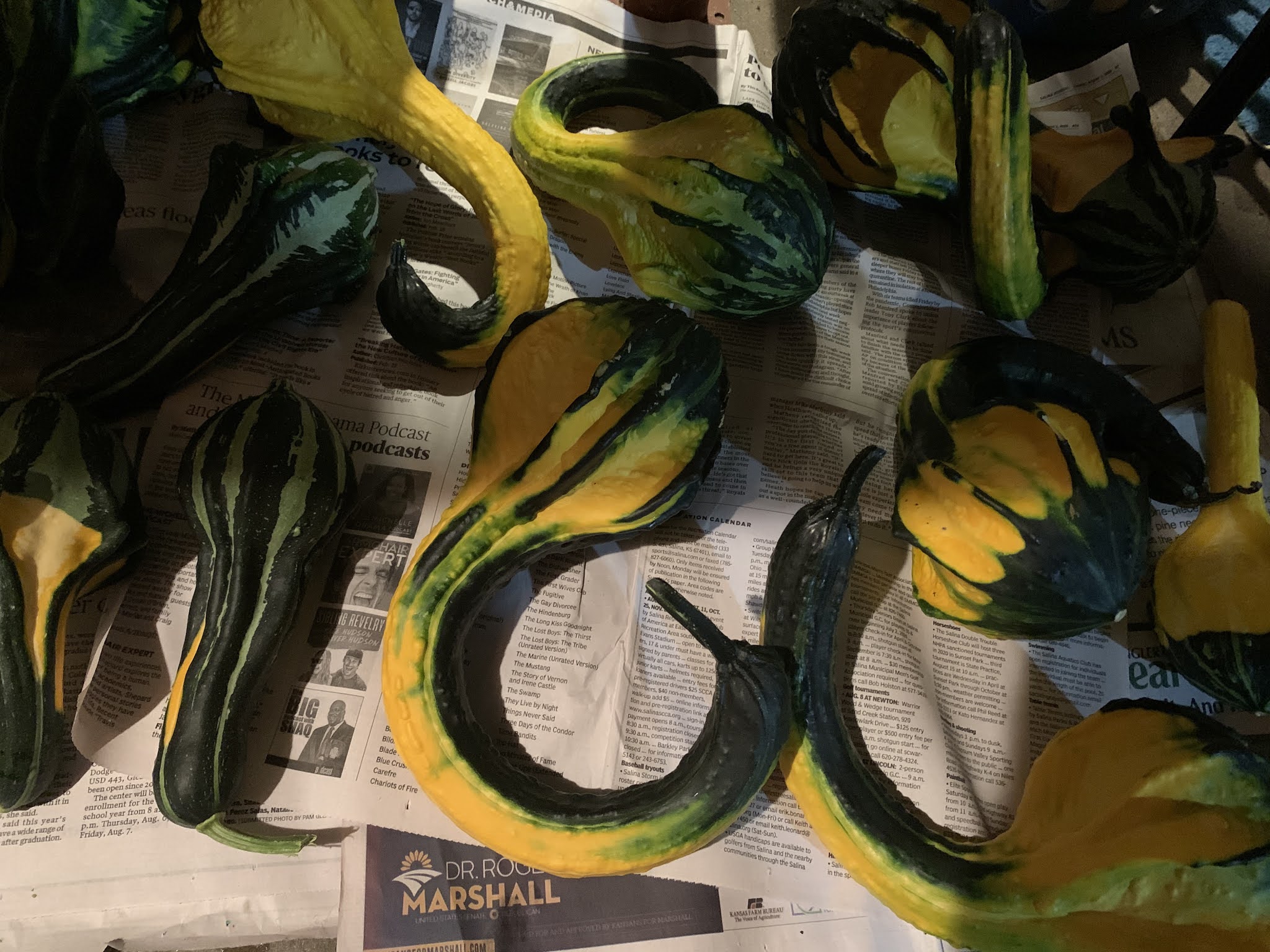 Cooking with Barry & Meta Preserving Gourds a nonedible kitchen pro