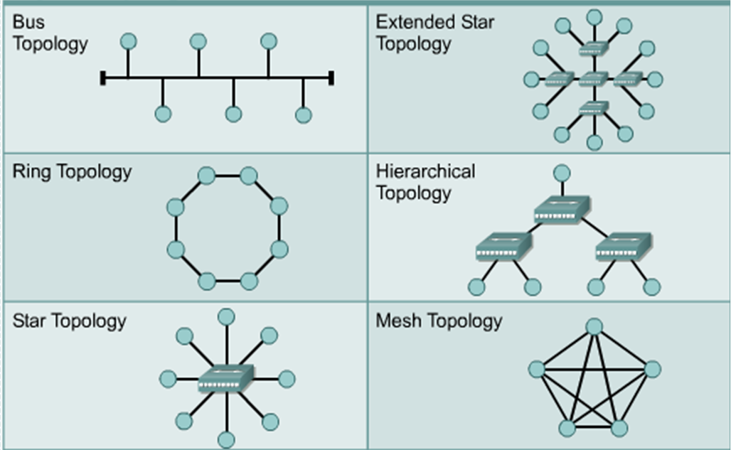 ccna31 Network Topology