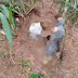 Corpo em estado de decomposição foi encontrado em Caldeirão Grande