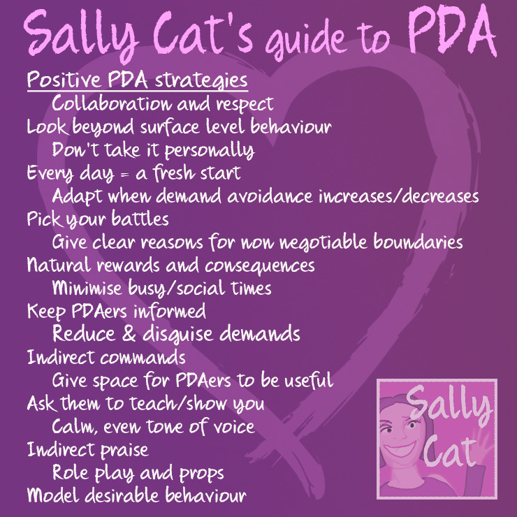 Sally Cat PDA PDA Strategies and Person Centred Counselling