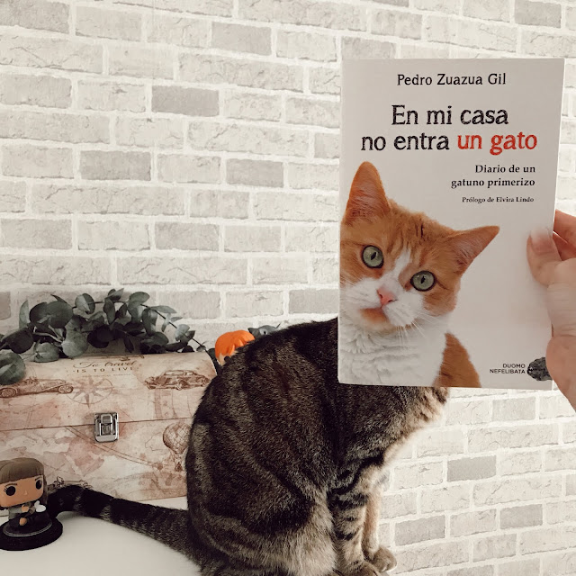 Reseña literaria de En mi casa no entra un gato de Pedro Zuazua