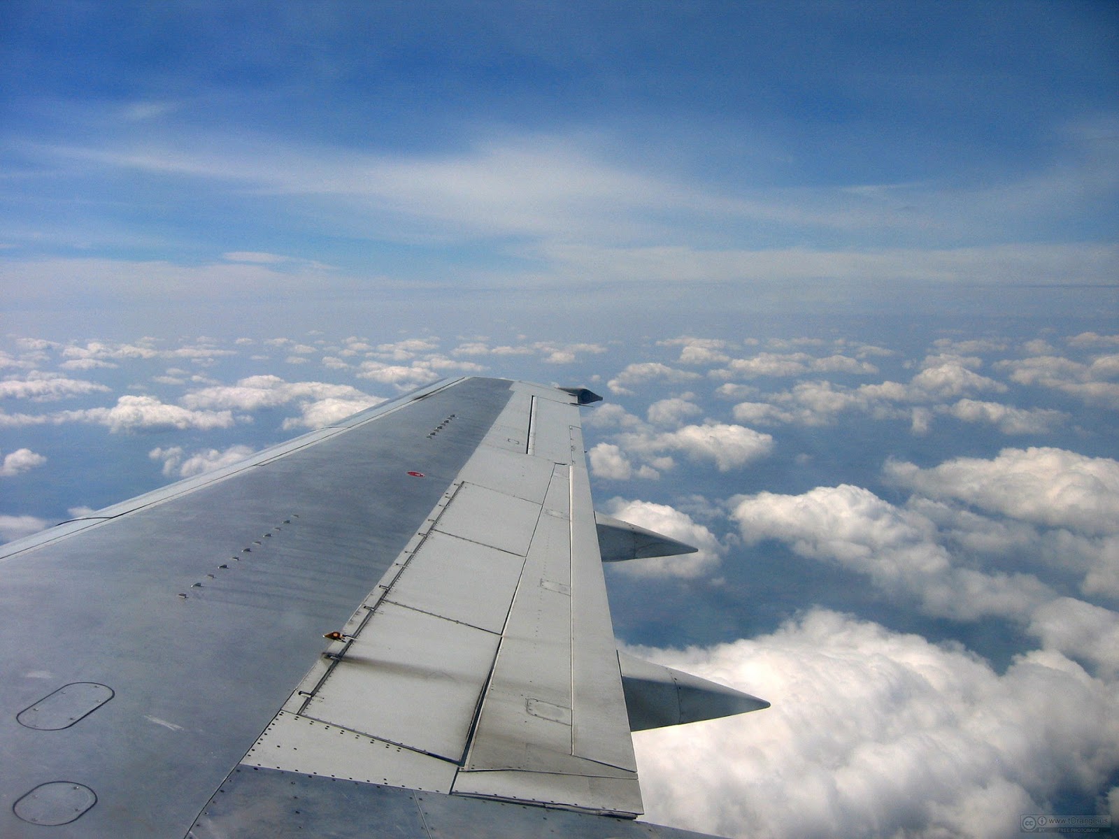 plane airfoil plane airfoil