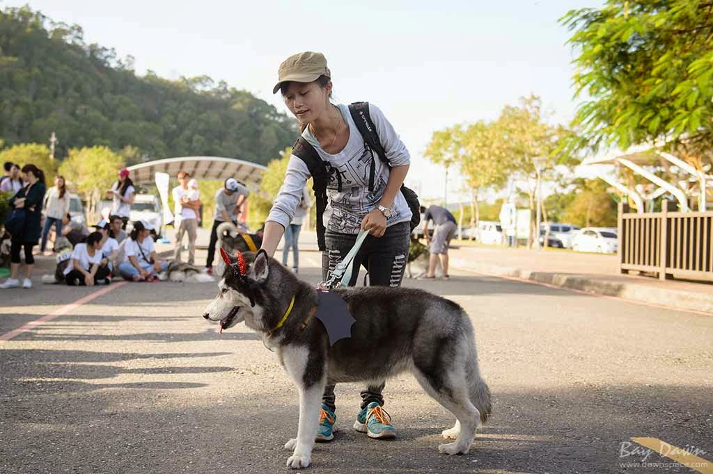 婚攝小動、婚攝推薦、活動紀錄、哈士奇、雪橇