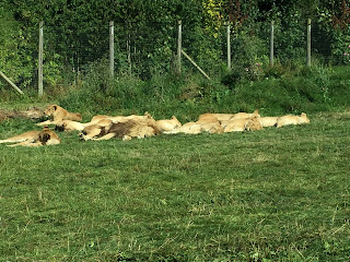 Longleat Safari Park-Longleat House-Mohabbatein Shooting Place