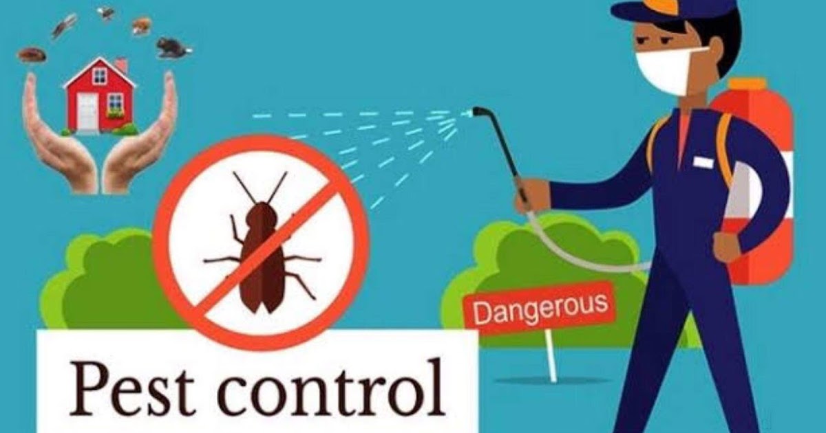 Pest Control Dubai