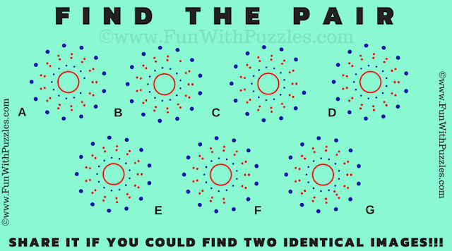 Genius Visual Challenge: Find the Pairs Picture Riddle