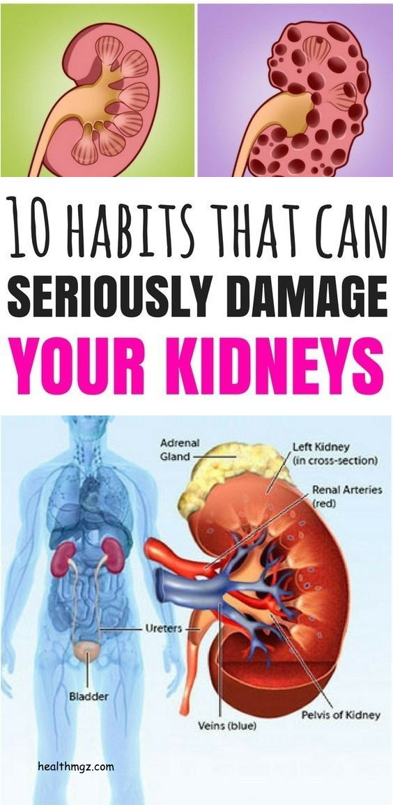 Top 10 Deadly Habits Seriously Damaging Your Kidneys Healthy Lifestyle