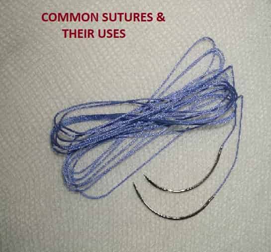 COMMON SUTURES AND THEIR USES Rnnursingexam