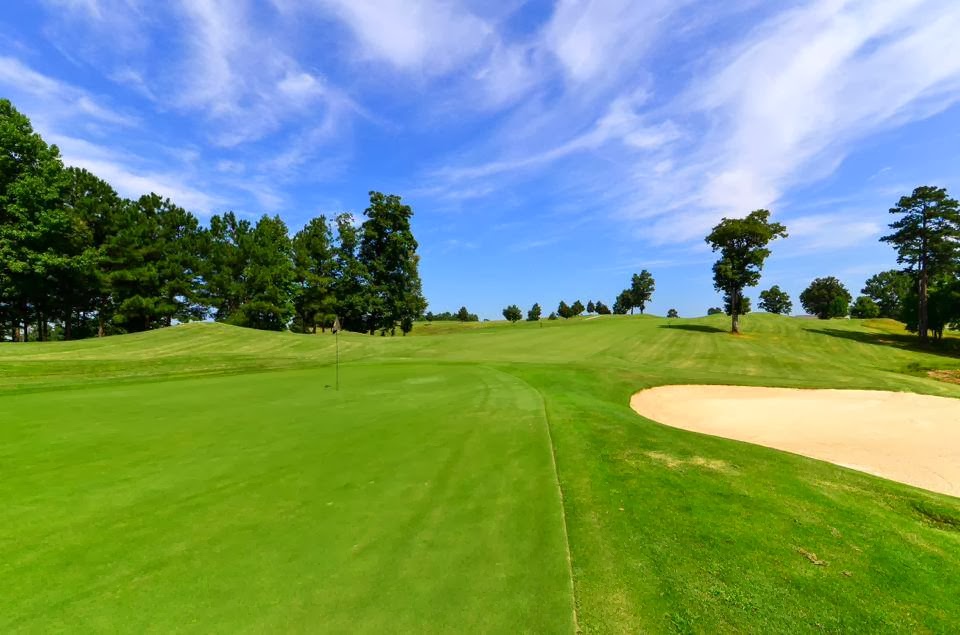 Don Johnson Real Estate Team 32 Crissie Ct. Clayton, NC 27527