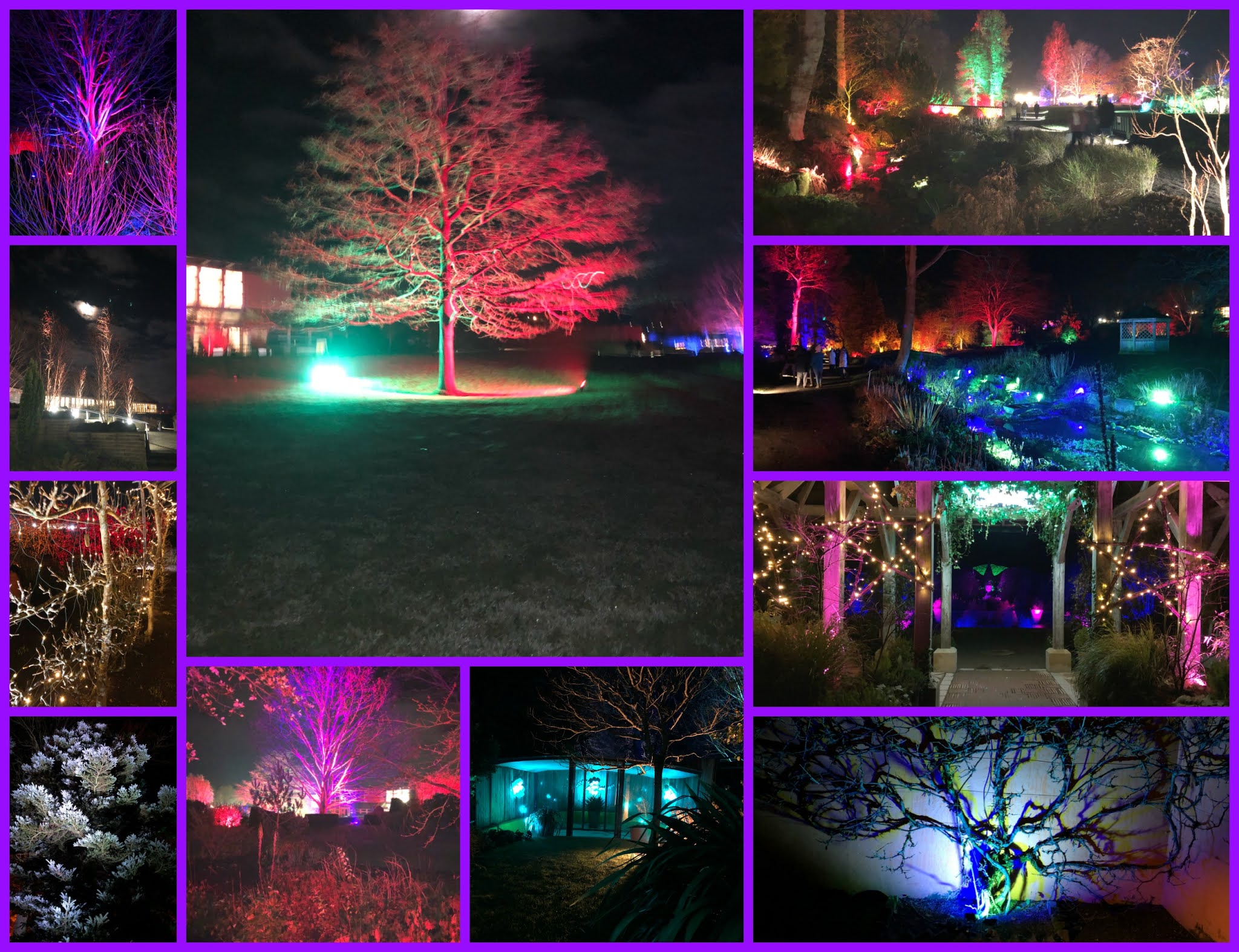 The Readiness Is All Harlow Carr Glow