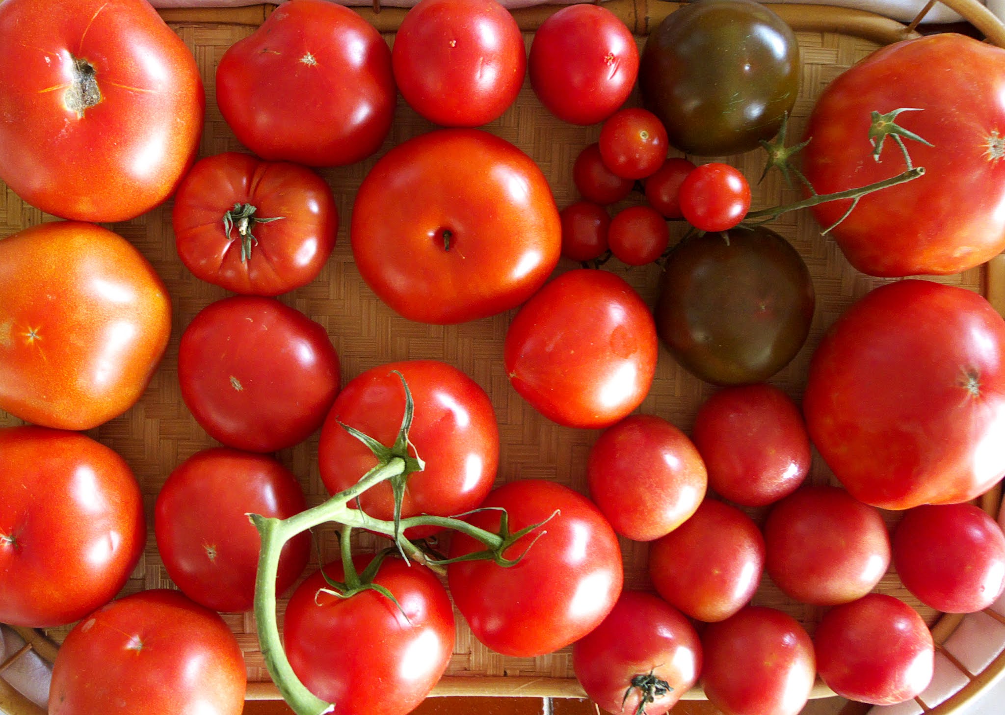 MY KITCHEN IN SPAIN SEARCHING FOR THE BEST TOMATO