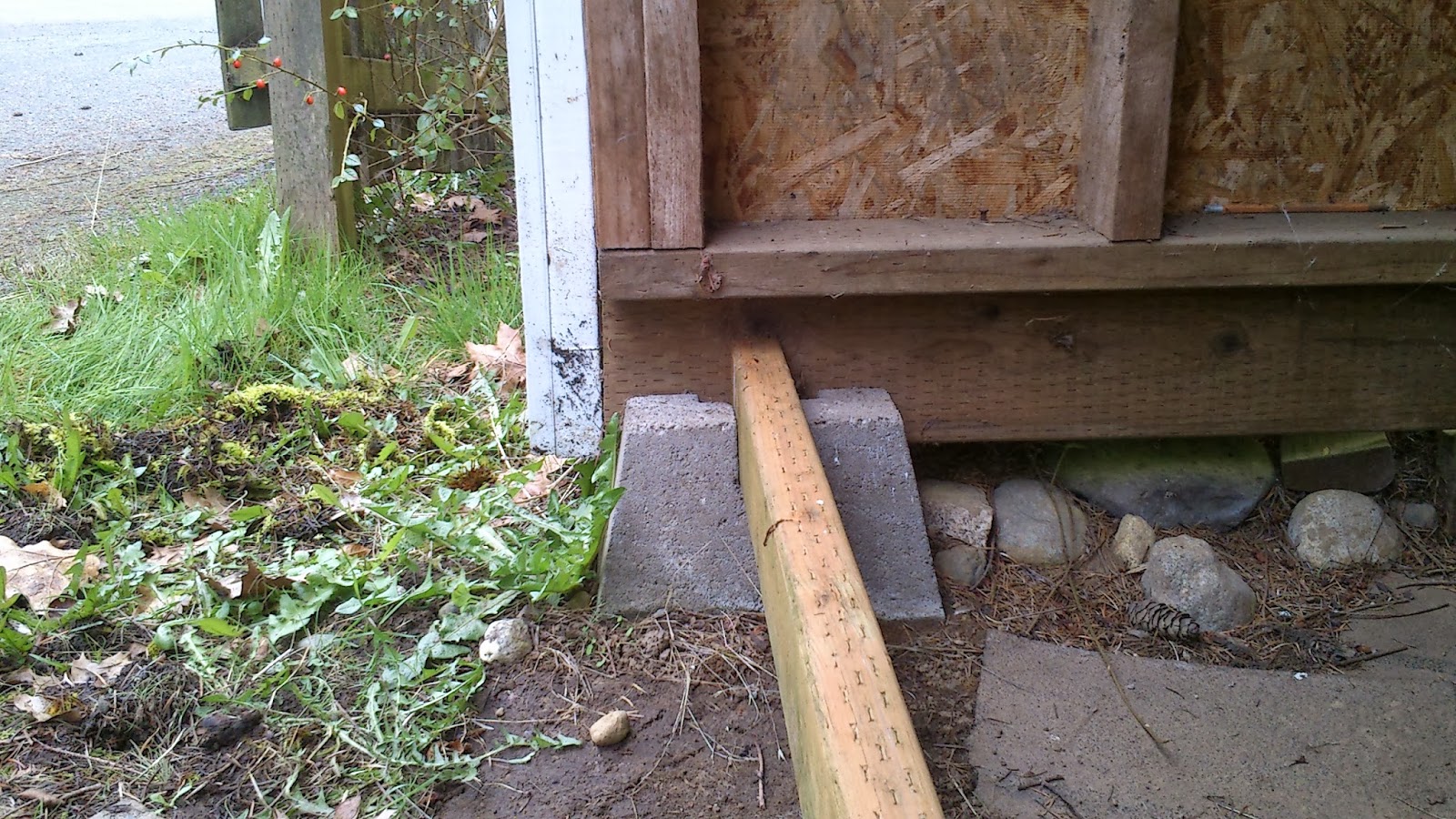 Shed base 2x4 or 2x6
