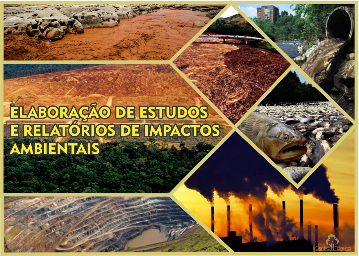 Impactos ambientais: o que são, exemplos e como minimizá-lo