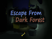 Top10NewGames - Top10 Escape From Dark Forest