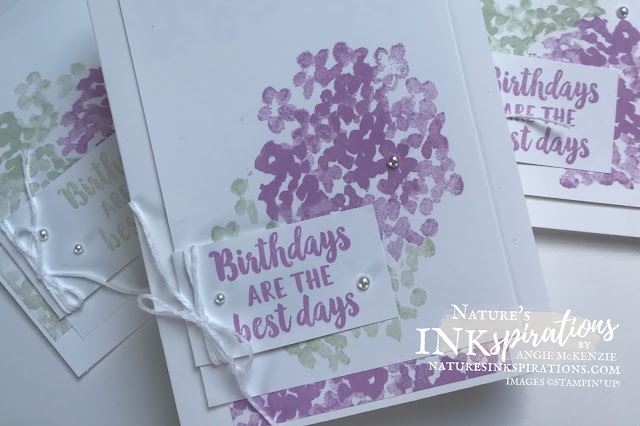 By Angie McKenzie for Casually Crafting Design Team Blog Hop; Click READ or VISIT to go to my blog for details! Featuring the retiring Beautiful Friendship Photopolymer Stamp Set and the new 2021-23 In Color, Fresh Freesia by Stampin' Up!® to create some quick birthday cards; #stampinup #cardtechniques #cardmaking #beautifulfriendshipstampset #customartistrypaper #twine  #hydrangeas #stampingtechniques #stampinupcolorcoordination #casuallycraftingdesignteambloghop #naturesinkspirations #birthdaycards #diycards #handmadecards