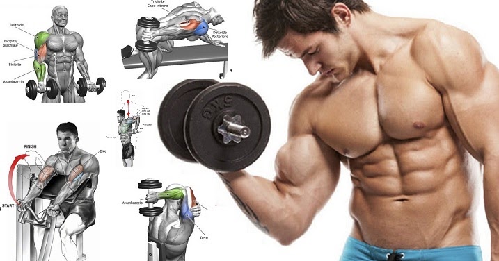 Best Arm Workouts to Build Muscle Fast Hardgainer Tips