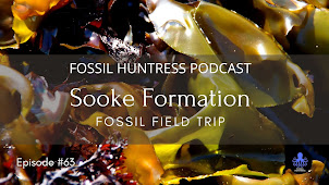 FOSSIL FIELD TRIP: SOOKE'S FOSSIL BIRDS