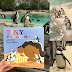 ILLUSTRATION FEATURE The evolution of a Picture Book - Tiny Penguins