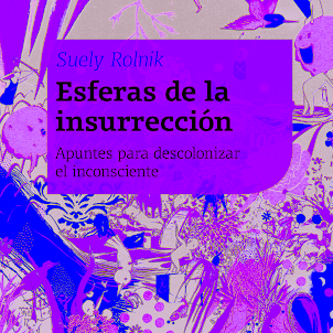 Insurrecciones del inconsciente (leer a Suely Rolnik)