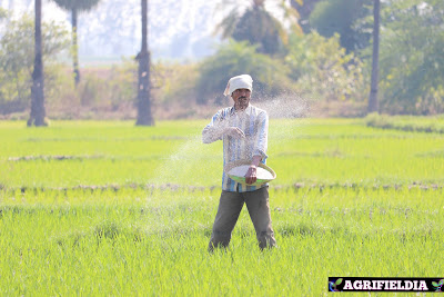 जैविक खेती क्या है ? Definition of Organic Farming in hindi 