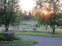 square root farms