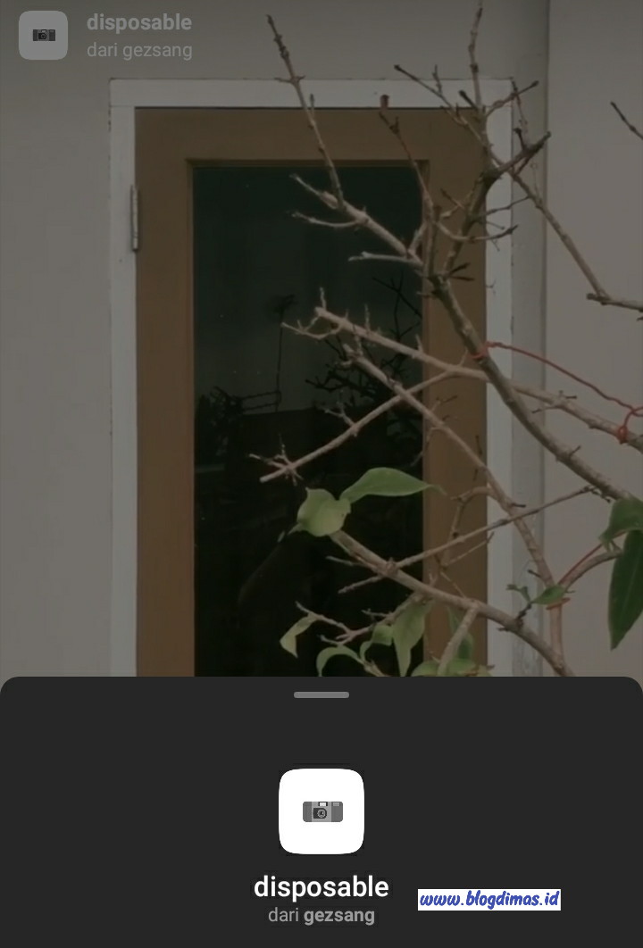 Filter Instagram