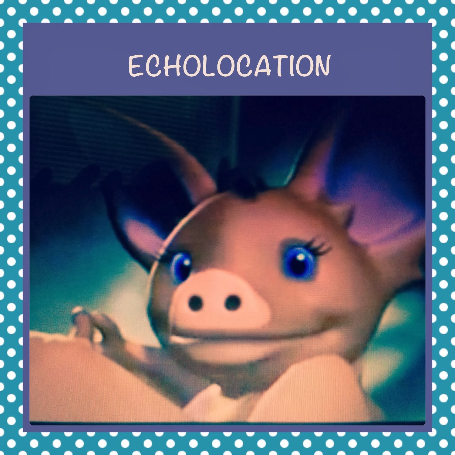 Sunny Daz 4 U BATTY FOR BATS JumpStart Bat Echolocation Song