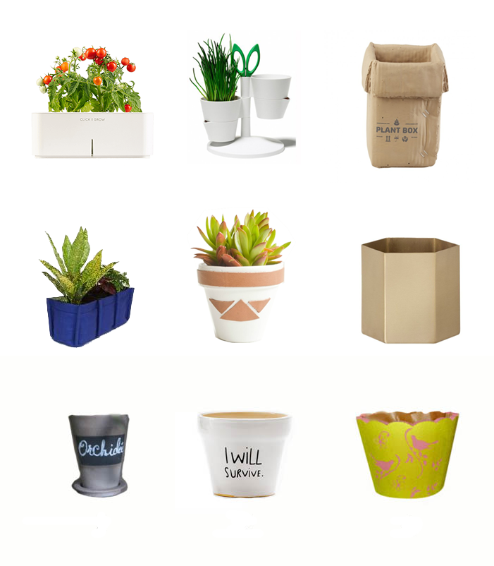 Pots and Plants for an Interior Garden