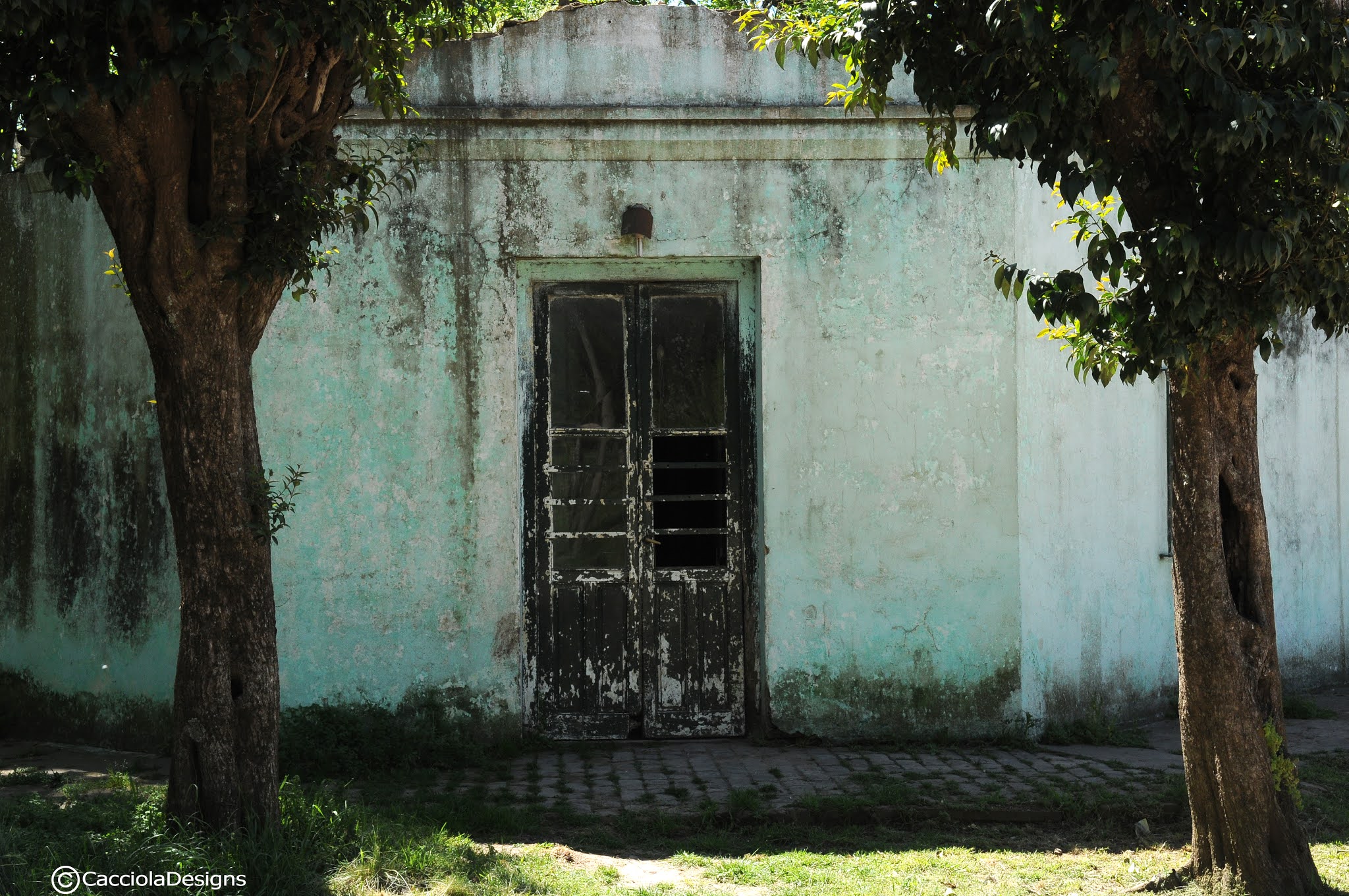 Horizonte Ferroviario Estación Berdier (CGBA)