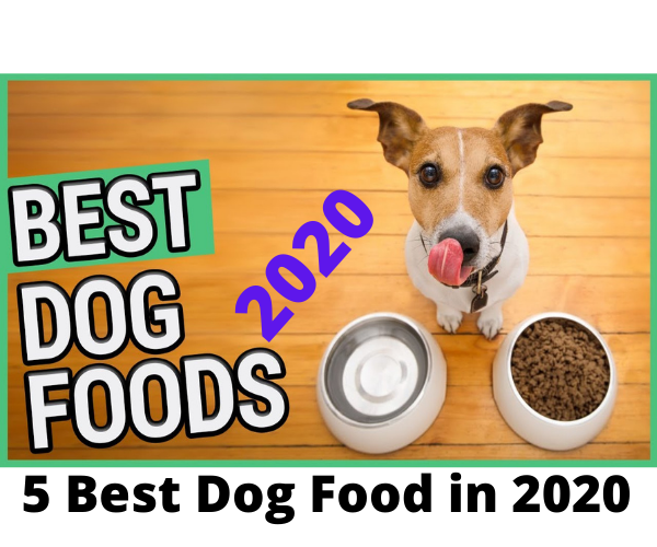coupon code for dr marty dog food