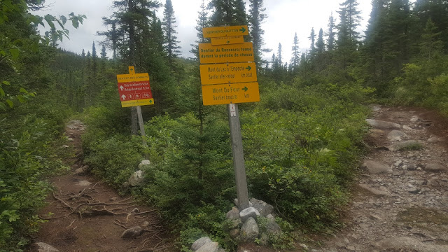 Sentier en direction vers le sommet Eudore-Fortin.
