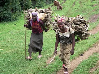 Collecting firewood in Jinka, Southern Ethiopia