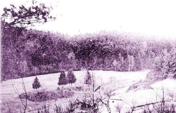 Roads to the Great War What Happened at the Col de la Chipotte?