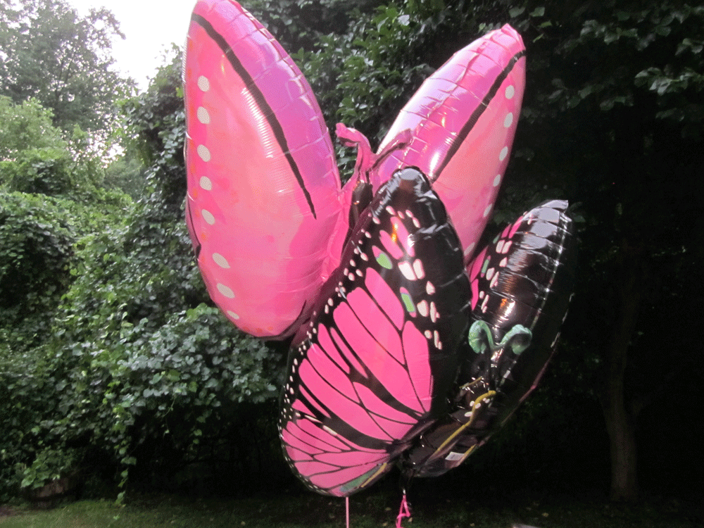 Огромные бабочки порхали