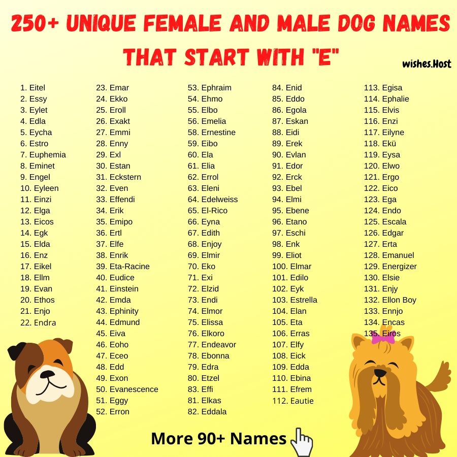dog-names-that-start-with-e-for-girl-and-boy-dog