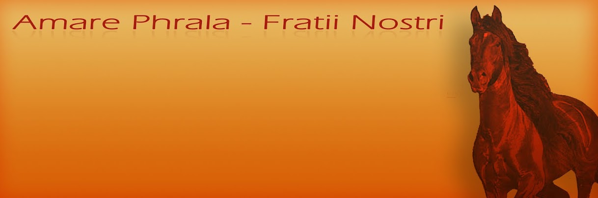 Amare Phrala - Fratii Nostri