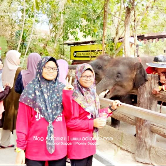 Chang Puak Camp, Hatyai ::: Pengalaman Menggerunkan Bila Naik Gajah !