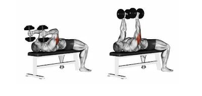 Triceps Exercises - Lying tricep extension (dumbbell)
