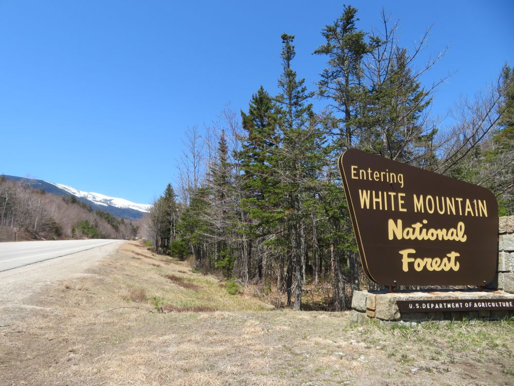 Outdoor Diversion Hall's Ledge Trail and Hutmen's Trail Loop Hike